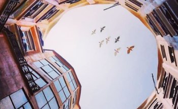 Habitatges Gestión, compra y venta pisos turísticos