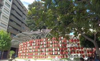 Costa Cálida Inmobiliarias Murcia