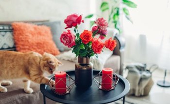 LA CASA AGENCY INMOBILIARIA - PUNTO PASEO ZORRILLA