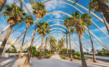 Livin'Valencia Real Estate Advisors