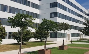 DEKRA Automotive (Siège Social)