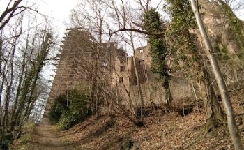 Agence immobilière Lamy Saint-Raphaël