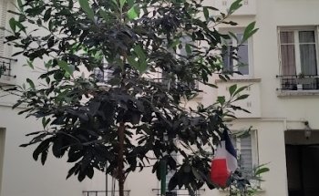 Agence immobilière Lamy Paris Nation