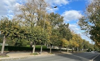 Immobilière Atlantic Aménagement