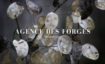 Agence des Forges Immobilier - Agence de Vallet
