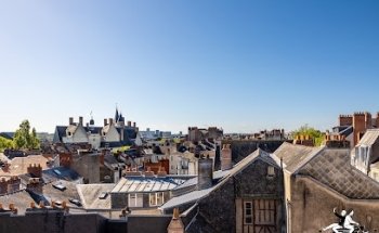 Victor & Richard Immobilier