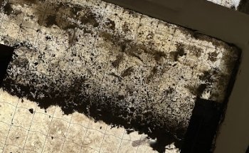 FONCIA | Agence Immobilière | Syndic-Gestion-Locative | Paris 9ème | R. de Provence