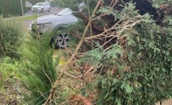 Agence immobilière Lamy Royan Desplats