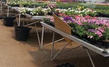 Fleurs du Mesnil SARL