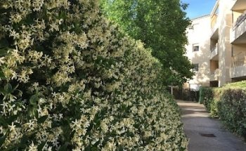 RICHTER REAL ESTATE GROUP