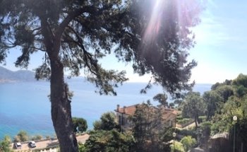 Agence Immobilière du Grand Palais