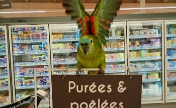 Agence Immobilier Le Bonheur