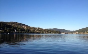 Immo des Vallées - Vagney