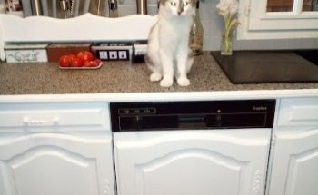 Maniere Jacques Jean-Louis