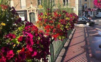 Agence CENTURY 21 Lesueur et Hörlin Corbeil-Essonnes