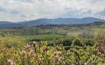 Pilat Estate Agency Pélussin