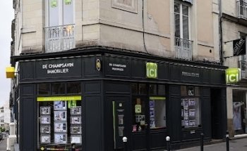 VIVRE ICI NANTES CATHEDRALE - de Champsavin