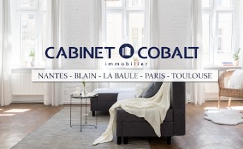 Cobalt Immobilier