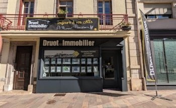 Druot Immobilier