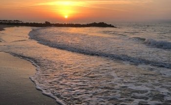 Bord de mer immobilier