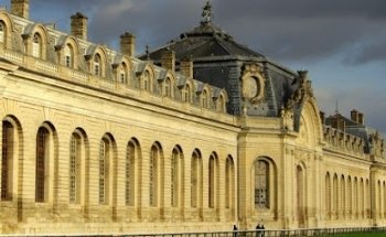 5ème Avenue Immobilier