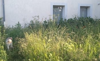 SEMCODA - Agence des 2 savoie