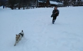 CENTURY 21 L'Immobilière des Gaves