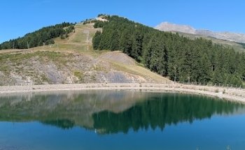 Snow tops & Real Estate