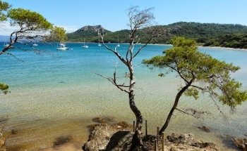 Agence immobilière La Valette du Var Les Clés du Soleil Immobilier La Valette du Var