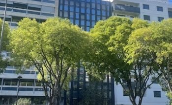 Intesa Immobilier Marseille