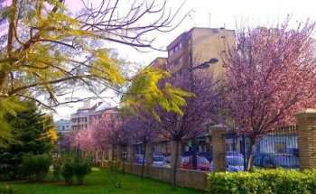 Punto Rojo Inmobiliaria