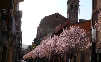 Gestoría DAS Asesoramiento y servicios Sant Andreu