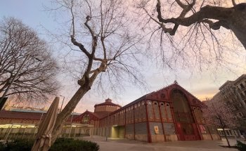 Tecnocasa agencia inmobiliaria