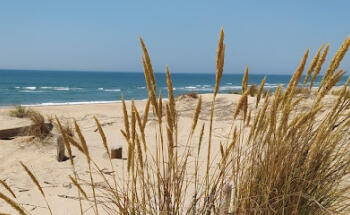 Real Estate Agency Europ'Atlantique