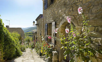Luberon - THE ESTATE OF OLIVIER