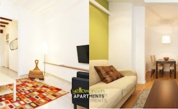 Barcelona just like home