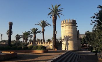 INMOBILIARIA BADAJOZ