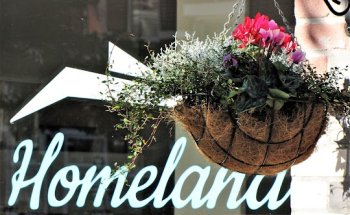 Homeland Real Estate