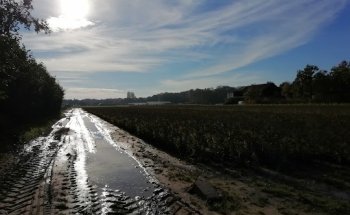 Verschoor Onroerend Goed B.V.