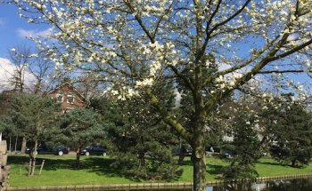 Blijdorp Makelaardij