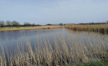 Van Huisstede Makelaardij B.V.