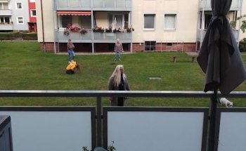 Concept Immobilien GmbH