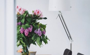 Vogelsang Immobilien Hannover