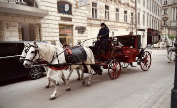 Stanzel & Co Wohnungs- u Geschäftsvermittlung GmbH