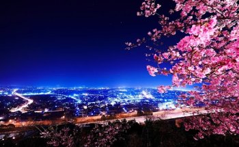 KAPSTEIN Immobilien & Service