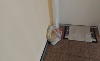 Römer Immobilien GmbH