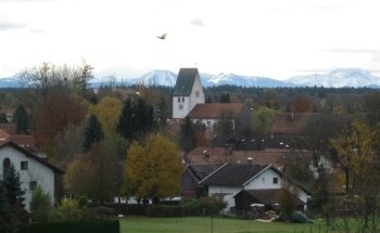 ESTATE ANGELS IMMOBILIEN