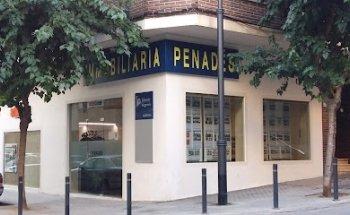 INMOBILIARIA PENADES