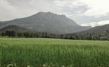 Immobilier Aix en Provence - ACTUEL IMMOBILIER - Agence immobilière aix en Provence