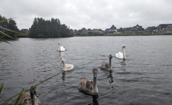 Sint Pancras Onroerend Goed Advies